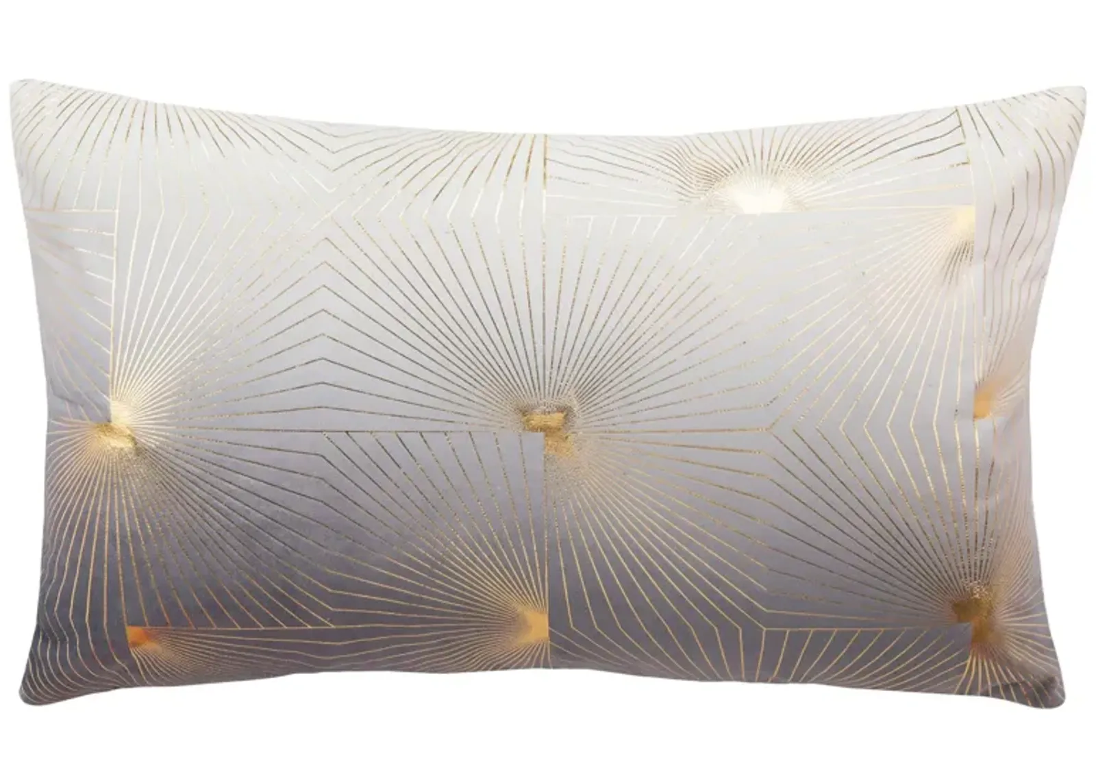 Embellished Loran Accent Pillow in Gray/Gold by Safavieh