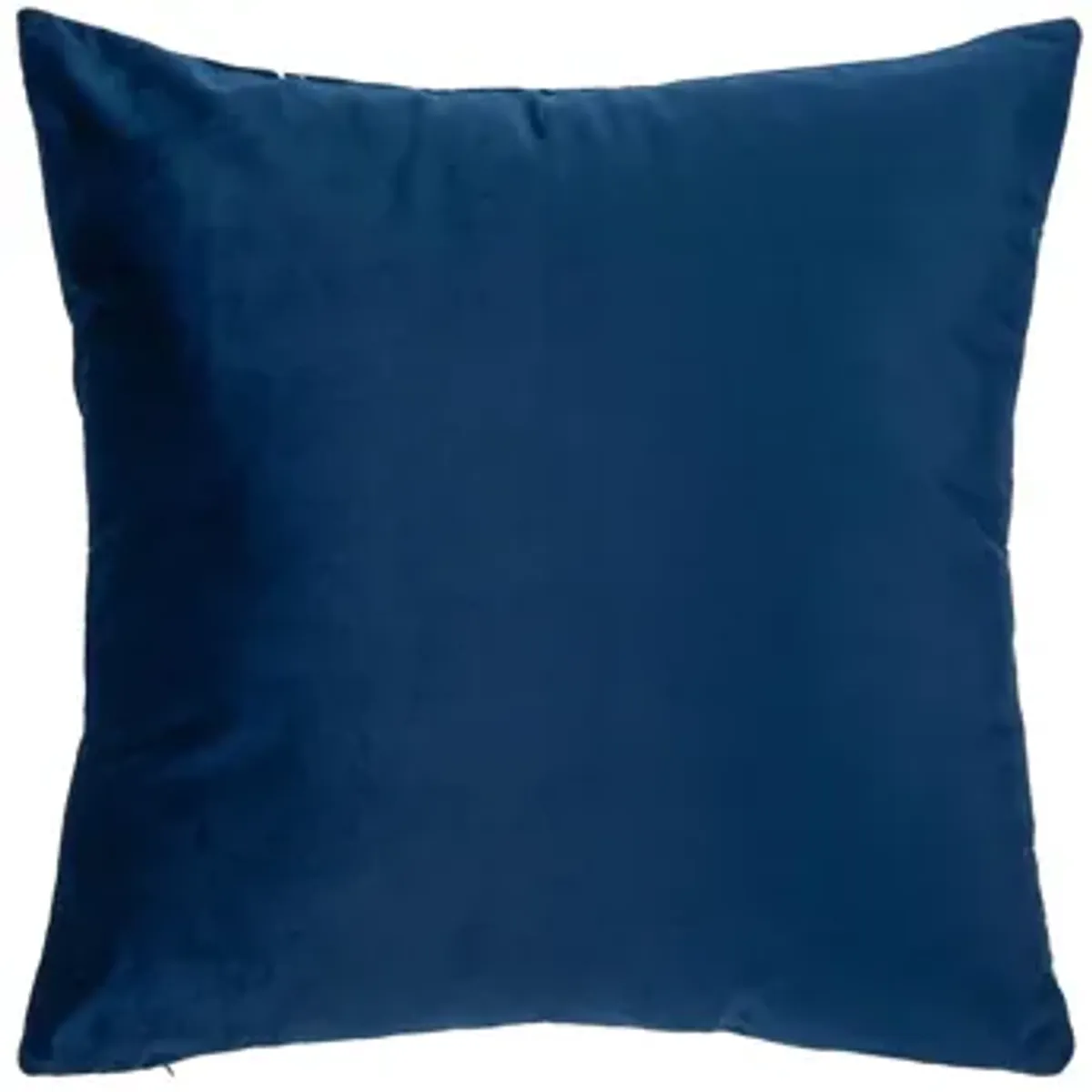 Embellished Sarla Accent Pillow