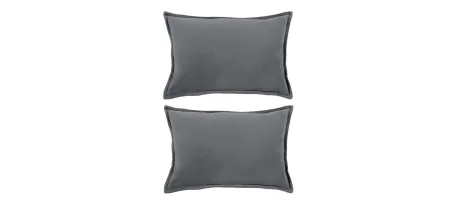 Cotton Velvet 18" Throw Pillow Set - 2 Pc. in Charcoal by Surya