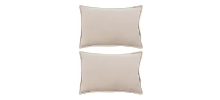 Cotton Velvet 13" x 19" Throw Pillow Set - 2 Pc. in Beige by Surya