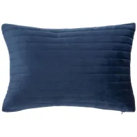 Embellished Darza Accent Pillow in Dark Blue by Safavieh