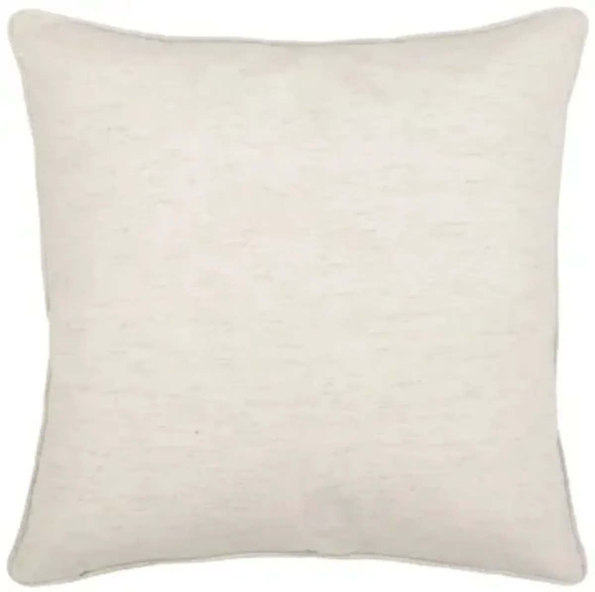 Framed Throw Pillow