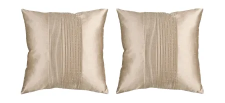 Solid Pleated 22" Throw Pillow Set - 2 Pc. in Khaki by Surya
