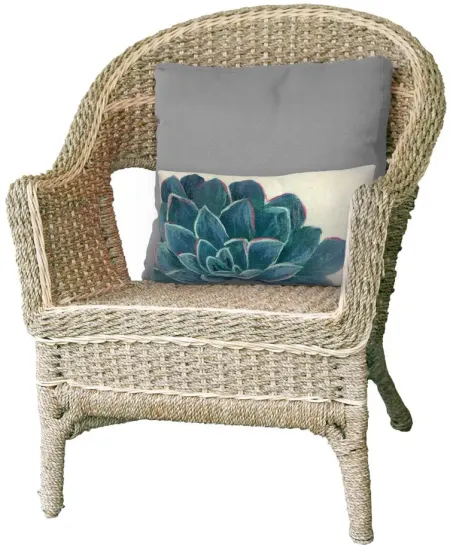 Liora Manne Visions III Succulent Pillow in Cream by Trans-Ocean Import Co Inc