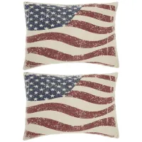 Flag Throw Pillow Set - 2 Pc. in Multicolor by Nourison