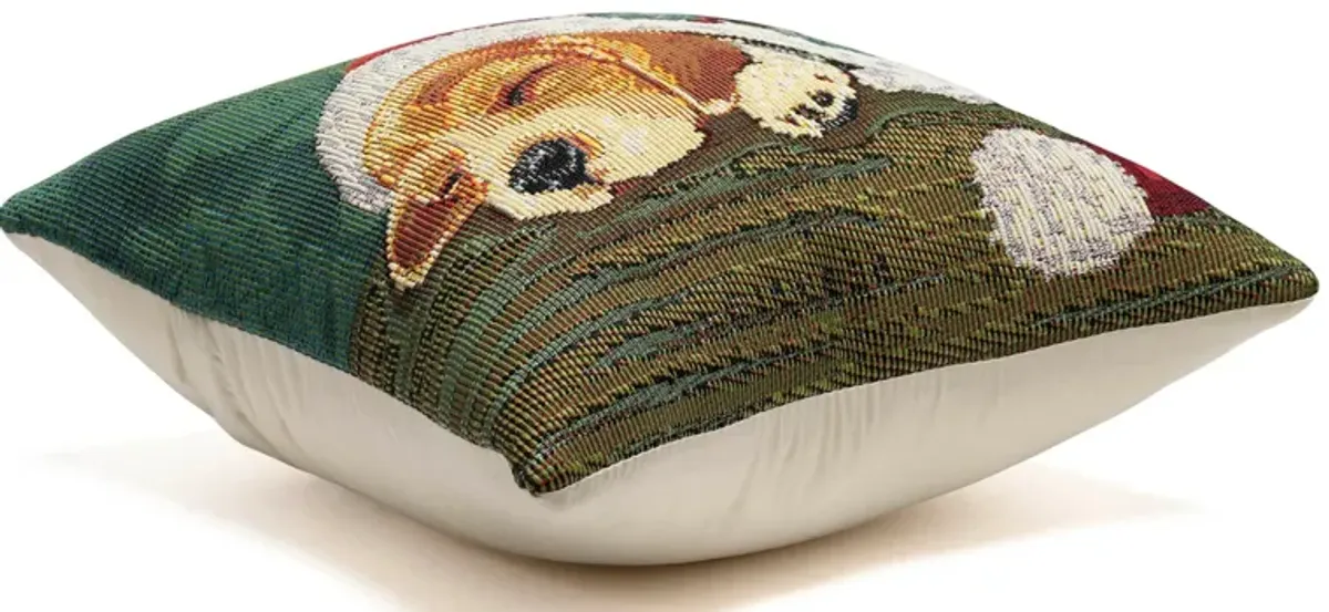 Marina Nap In A Cap Indoor/Outdoor Pillow