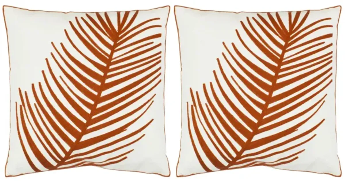 Remy Nature Pillow: Set of 2