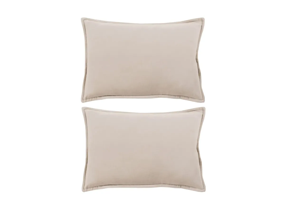 Cotton Velvet 22" Down Throw Pillow Set - 2 Pc. in Beige by Surya