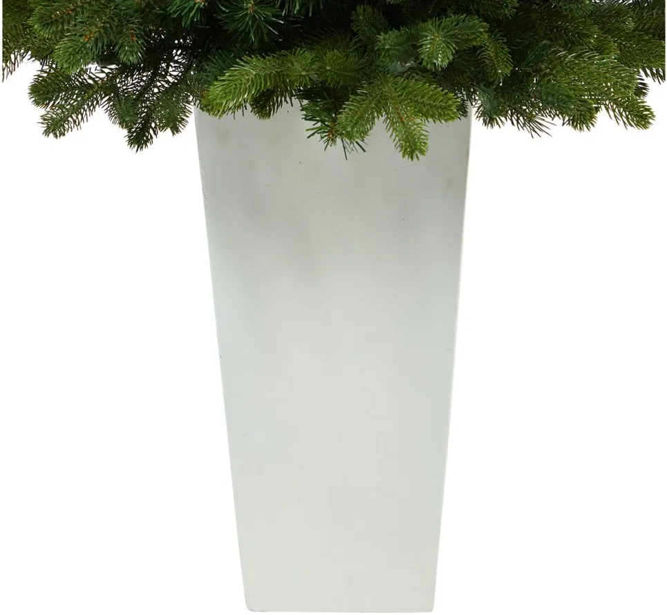 3.5' Pre-Lit Washington Fir Artificial Tree in Green by Bellanest