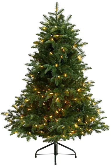 4' Pre-Lit South Carolina Spruce Artificial Tree in Green by Bellanest