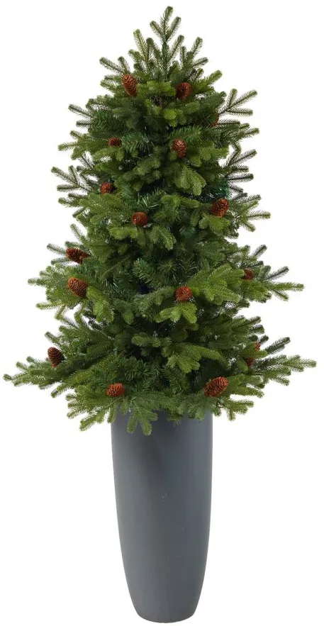 5' Pre-Lit Yukon Mountain Fir Artificial Tree in Green by Bellanest