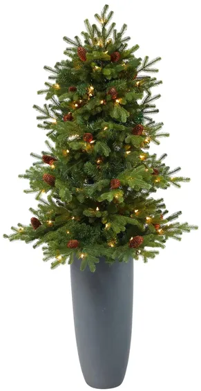 5' Pre-Lit Yukon Mountain Fir Artificial Tree in Green by Bellanest