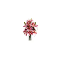 Rubrum Lily with Decorative Vase in Pink/White/Green by Bellanest