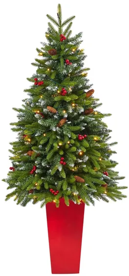 62" Pre-Lit Snow Tipped Portland Spruce Artificial Tree in Green by Bellanest