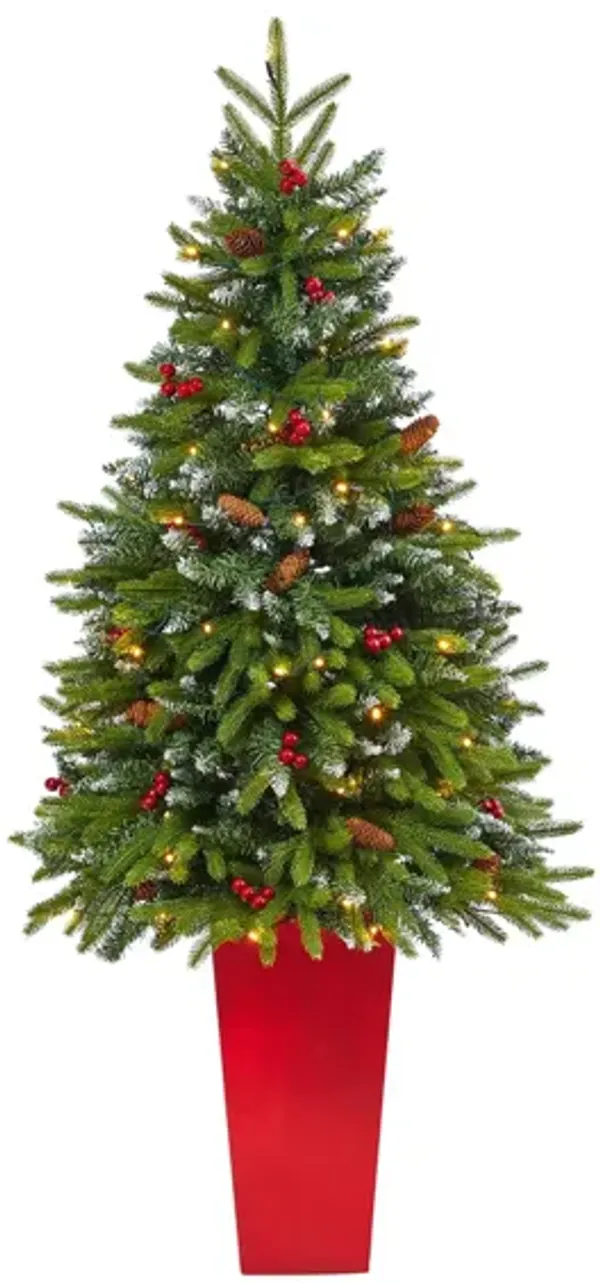 62" Pre-Lit Snow Tipped Portland Spruce Artificial Tree
