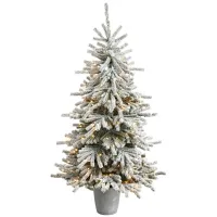 6' Pre-Lit Flocked Long Vermont Pine Artificial Tree in Green by Bellanest