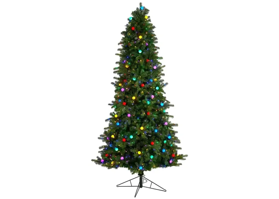 8.5' Pre-Lit Montana Mountain Fir Artificial Tree in Green by Bellanest