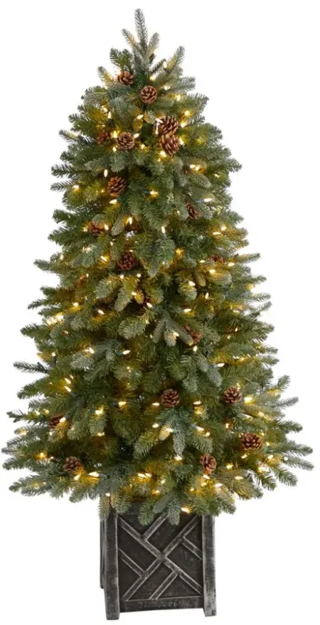 5' Pre-Lit Colorado Fir Flocked Dusted Artificial Tree in Green by Bellanest