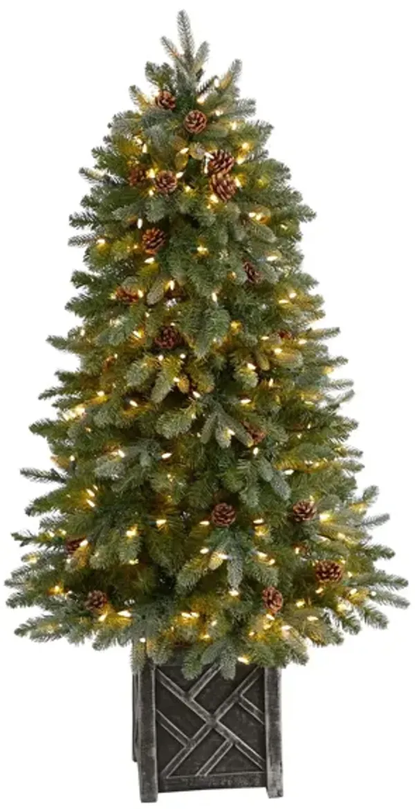 5' Pre-Lit Colorado Fir Flocked Dusted Artificial Tree
