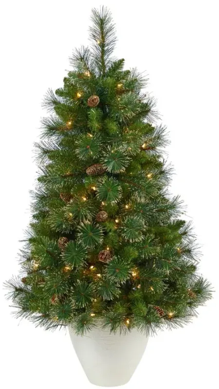 50" Pre-Lit Golden Tip Washington Pine Artificial Tree in Green by Bellanest