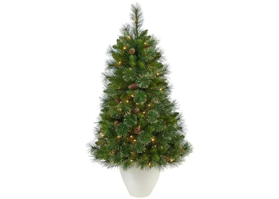 50" Pre-Lit Golden Tip Washington Pine Artificial Tree in Green by Bellanest