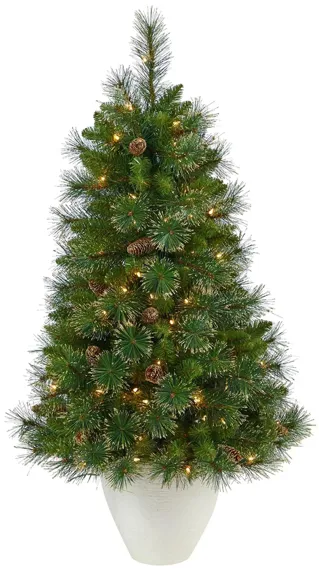 50" Pre-Lit Golden Tip Washington Pine Artificial Tree in Green by Bellanest