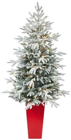 5' Pre-Lit Flocked Manchester Spruce Artificial Tree in Green/White by Bellanest