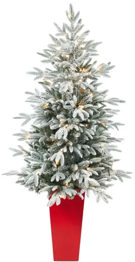 5' Pre-Lit Flocked Manchester Spruce Artificial Tree in Green/White by Bellanest