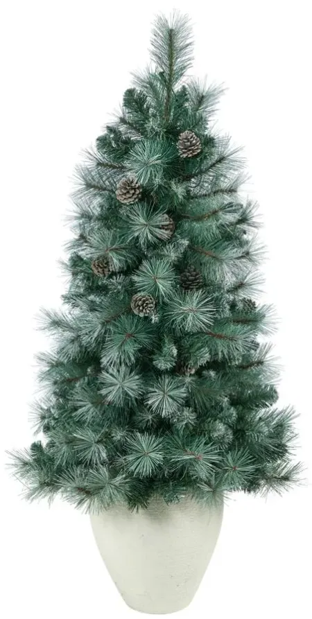 50" Pre-Lit Frosted Tip British Columbia Mountain Pine Artificial Tree in Green by Bellanest