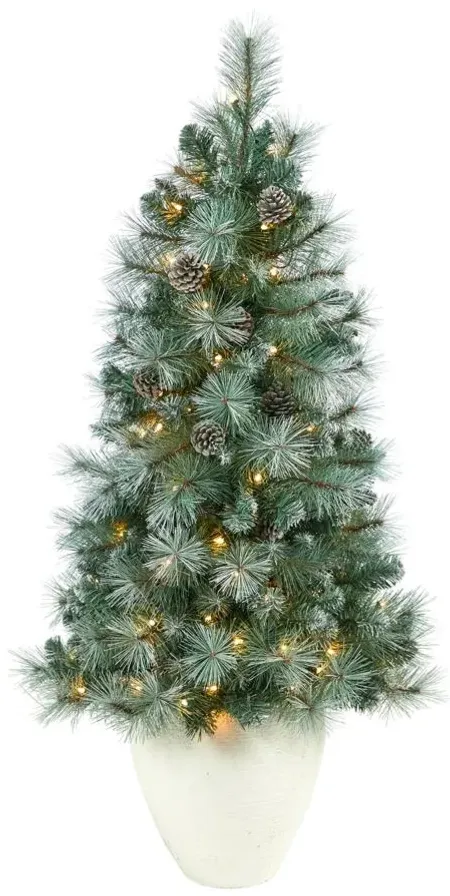 50" Pre-Lit Frosted Tip British Columbia Mountain Pine Artificial Tree in Green by Bellanest