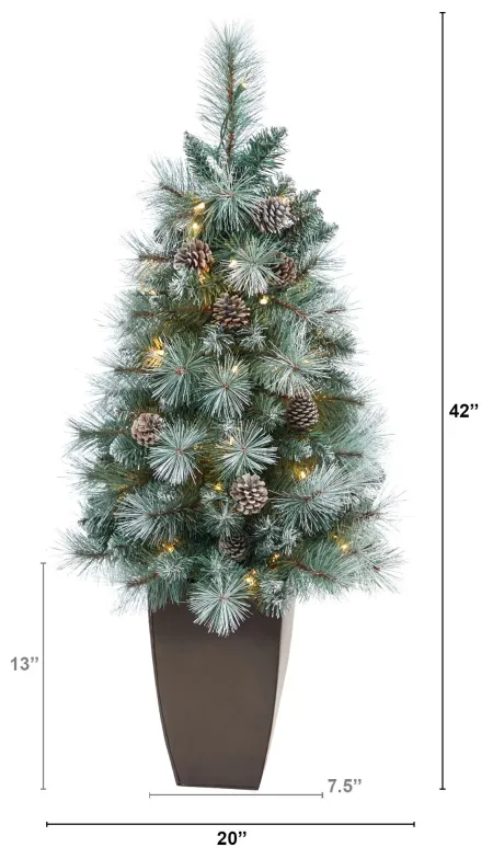 3.5' Pre-Lit Frosted Tip British Columbia Mountain Pine Artificial Tree in Green/White by Bellanest