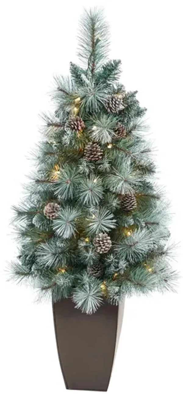 3.5' Pre-Lit Frosted Tip British Columbia Mountain Pine Artificial Tree