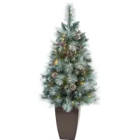 3.5' Pre-Lit Frosted Tip British Columbia Mountain Pine Artificial Tree in Green/White by Bellanest