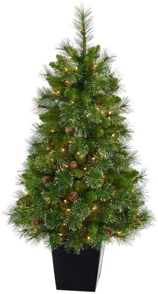 50" Pre-Lit Golden Tip Washington Pine Artificial Christmas Tree in Green by Bellanest