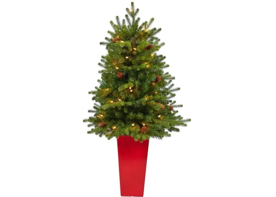 3.5' Pre-Lit Yukon Mountain Fir Artificial Tree in Green by Bellanest