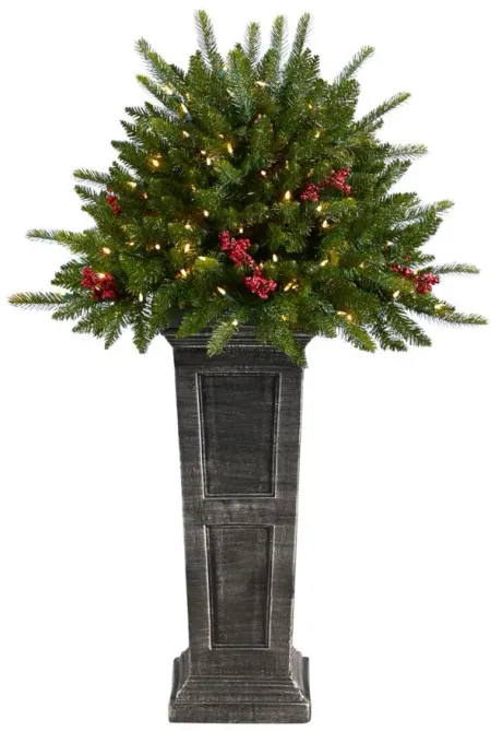 4' Pre-Lit Holiday Artificial Plant and Glittered on Pedestal in Green by Bellanest