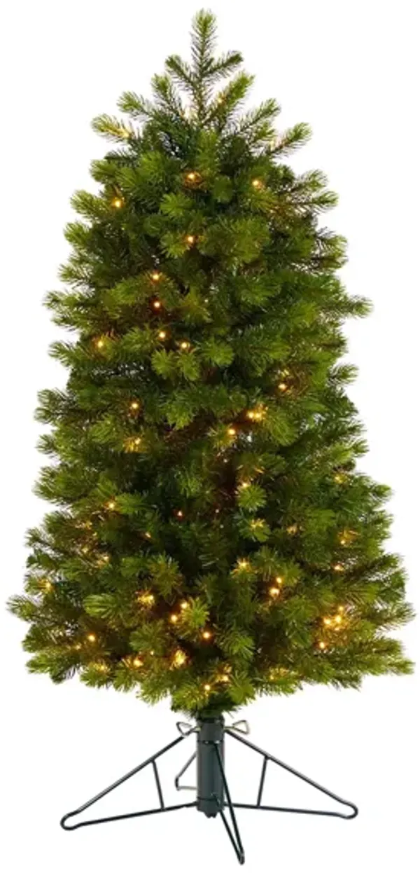 4' Pre-Lit Slim Colorado Mountain Spruce Artificial Tree