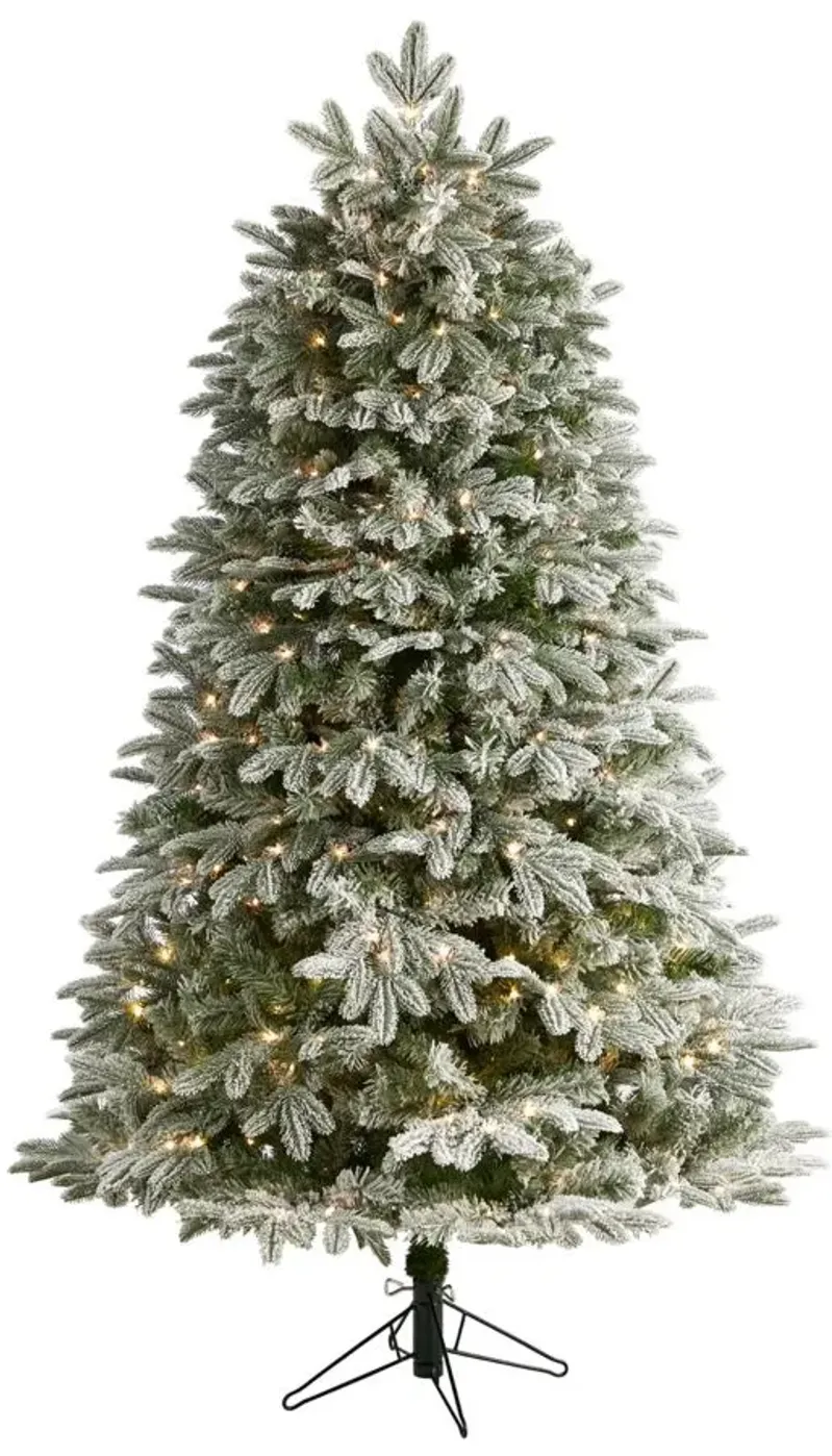 6' Pre-Lit Flocked Colorado Mountain Fir Artificial Tree in Green by Bellanest