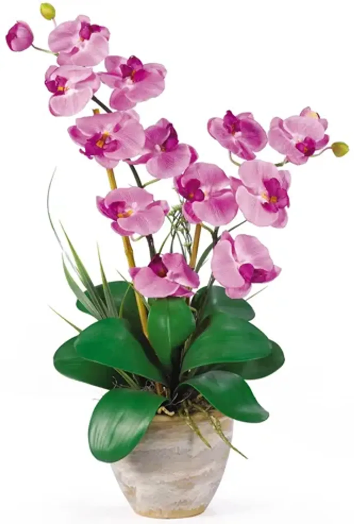 Double Phalaenopsis Silk Orchid Flower Artificial Arrangement