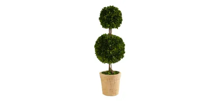 2.5ft. Preserved Boxwood Double Ball Topiary Tree in Decorative Planter in Green by Bellanest