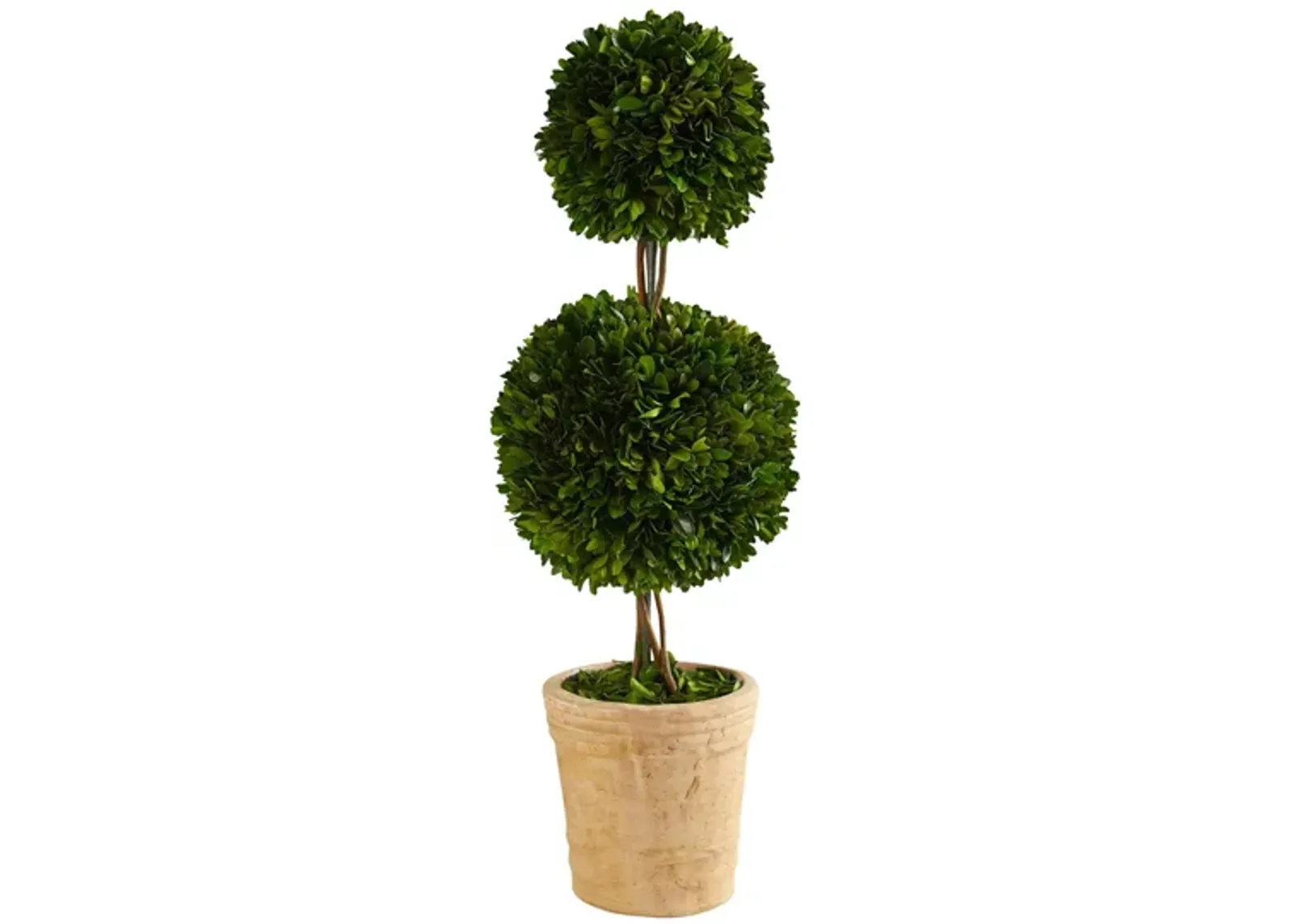 2.5ft. Preserved Boxwood Double Ball Topiary Tree in Decorative Planter in Green by Bellanest