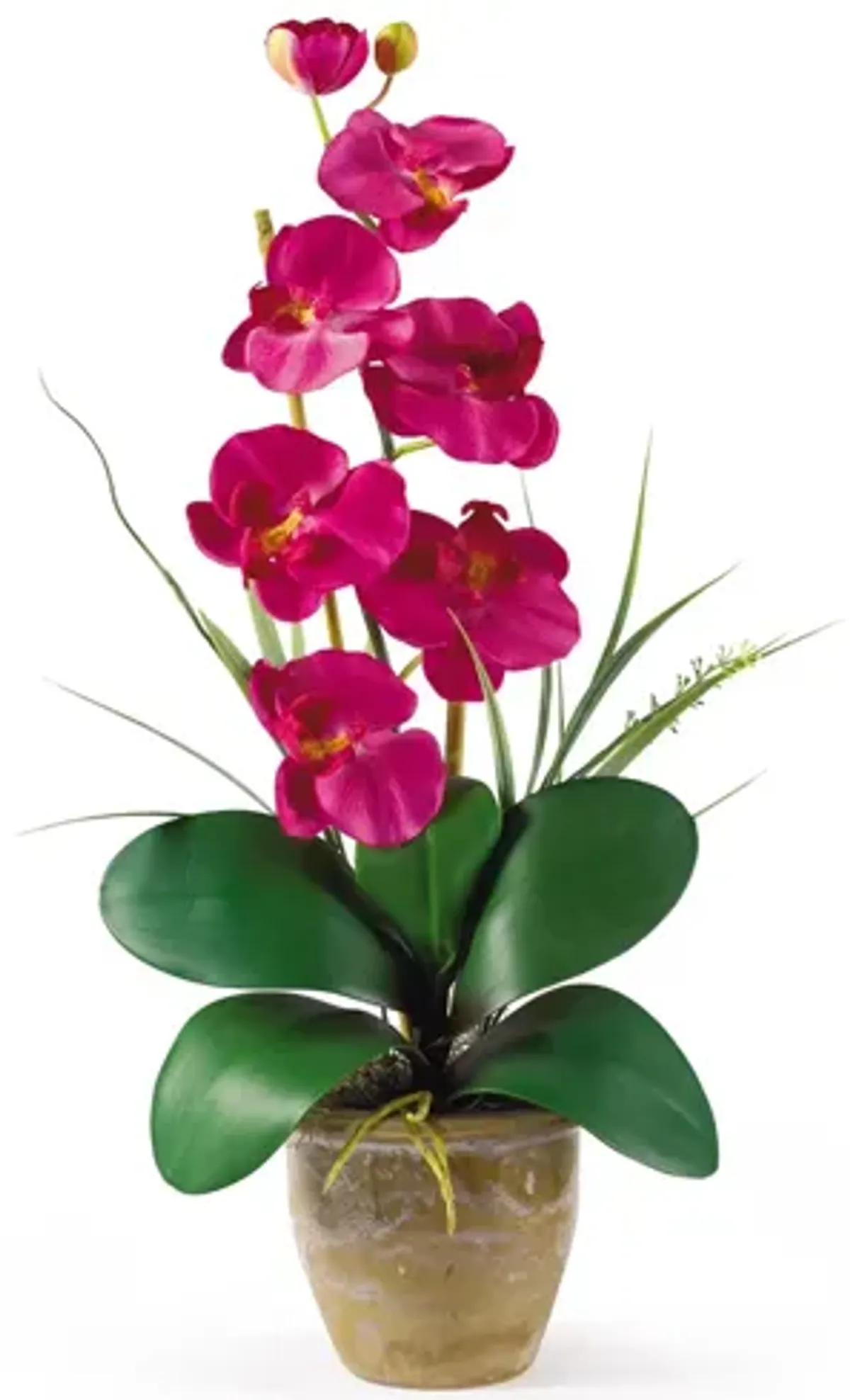 Phalaenopsis Silk Orchid Flower Artificial Arrangement in Beauty by Bellanest