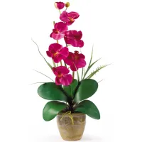 Phalaenopsis Silk Orchid Flower Artificial Arrangement in Beauty by Bellanest