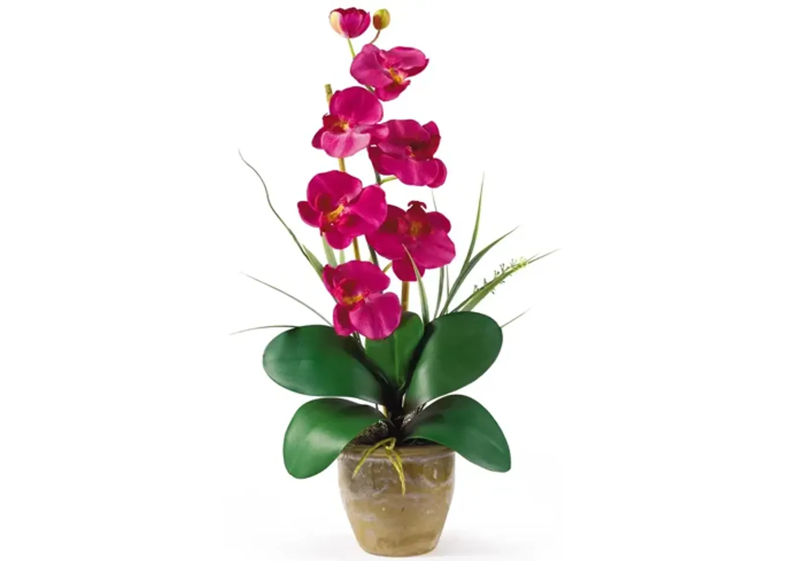 Phalaenopsis Silk Orchid Flower Artificial Arrangement in Beauty by Bellanest