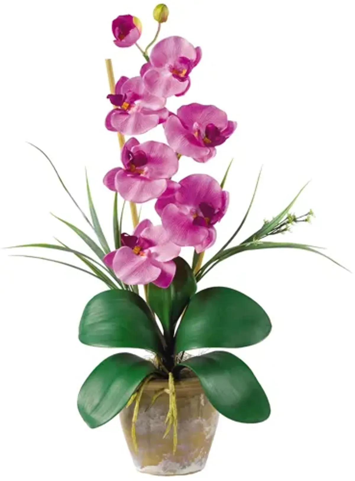 Phalaenopsis Silk Orchid Flower Artificial Arrangement in Mauve by Bellanest