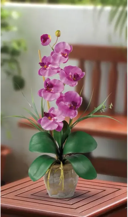 Phalaenopsis Silk Orchid Flower Artificial Arrangement in Mauve by Bellanest