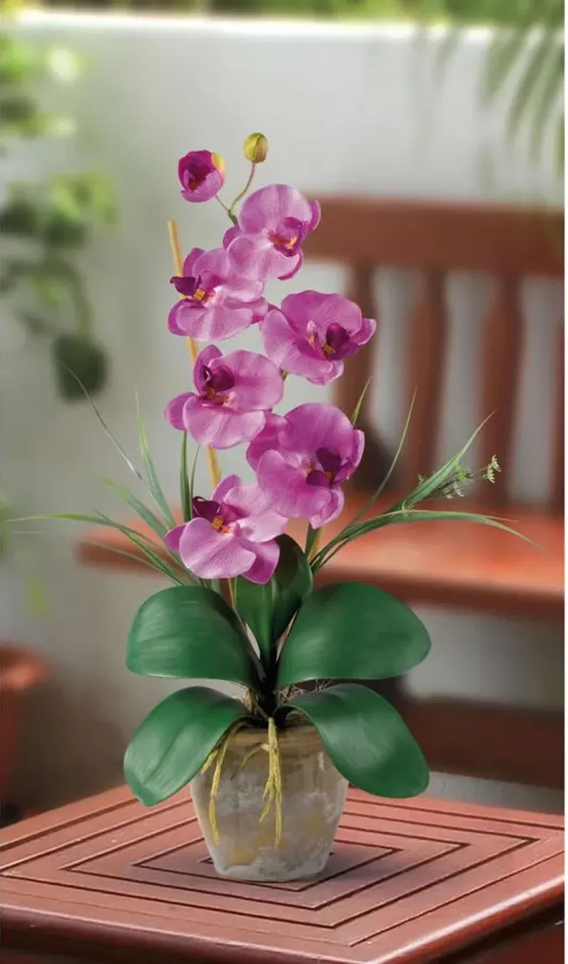 Phalaenopsis Silk Orchid Flower Artificial Arrangement in Mauve by Bellanest