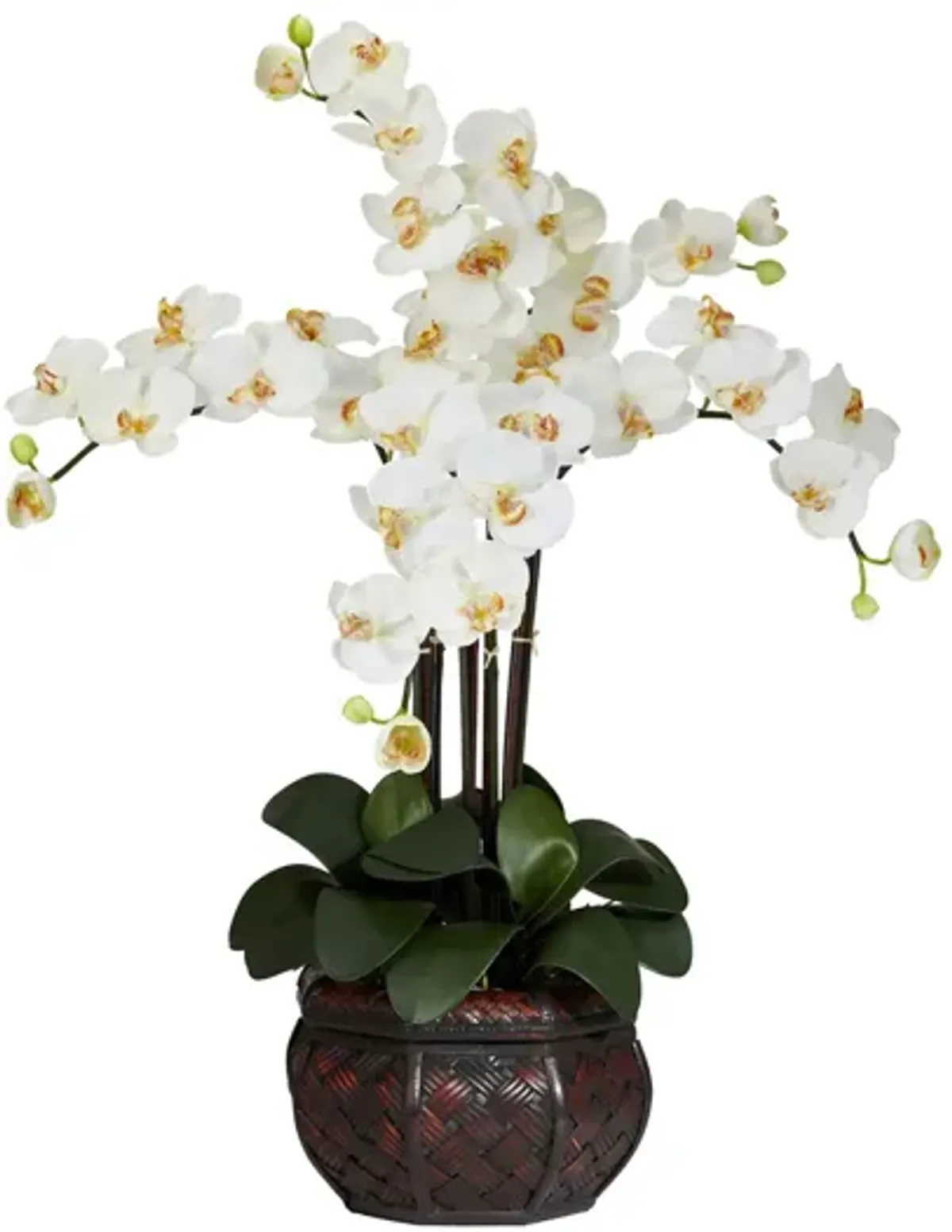 Phalaenopsis with Decorative Vase Silk Flower Arrangement in Cream by Bellanest