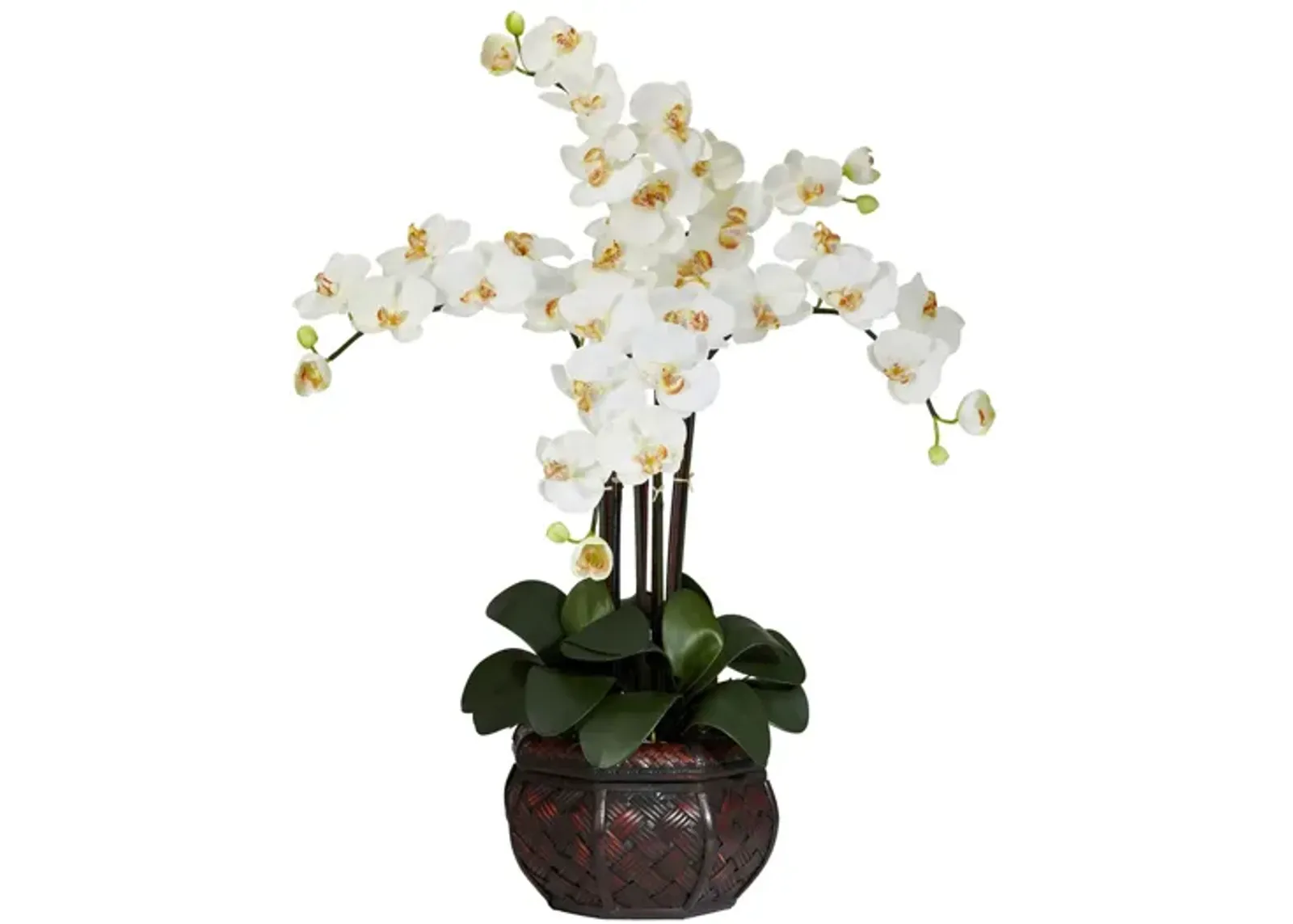 Phalaenopsis with Decorative Vase Silk Flower Arrangement in Cream by Bellanest