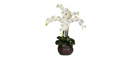 Phalaenopsis with Decorative Vase Silk Flower Arrangement in Cream by Bellanest